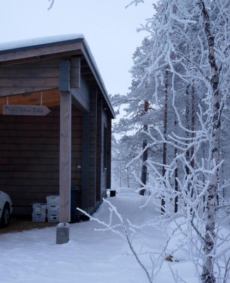 Arctic Nature Lodge إيناري المظهر الخارجي الصورة